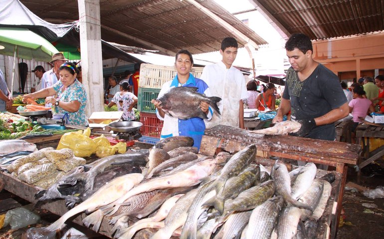 Matadouro e açougue público de Palmeira estão com energia cortada
