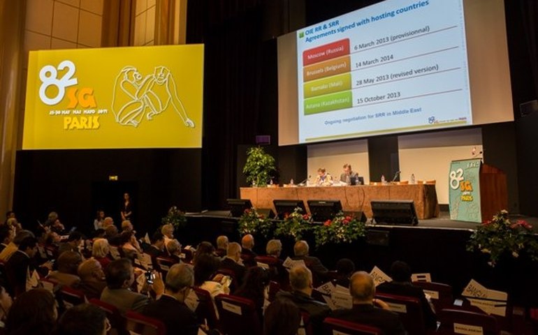 Certificação internacional impulsiona pecuária alagoana