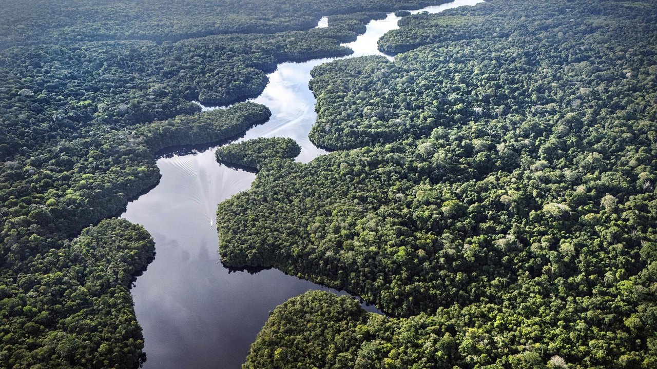 Análise: aliança de defesa entre países amazônicos pode blindar a região da cobiça externa (VÍDEOS)