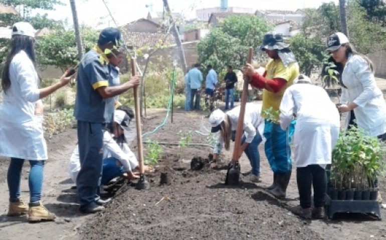 Seagri doa mudas de plantas medicinais para União dos Palmares