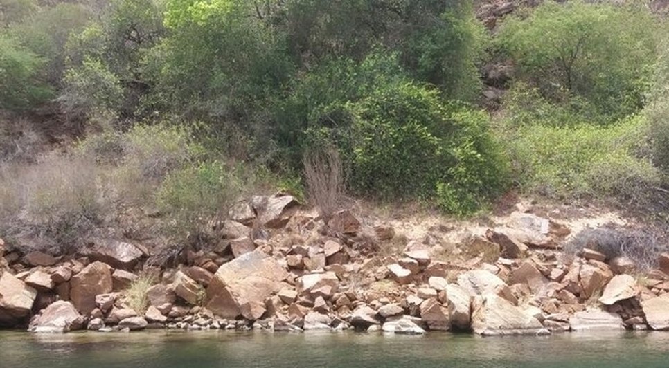rio são francisco