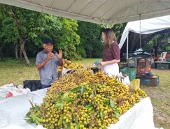 Especial-Brasil-de-fé-TV-Aparecida-by-Juana-Tannús (5).jpeg 