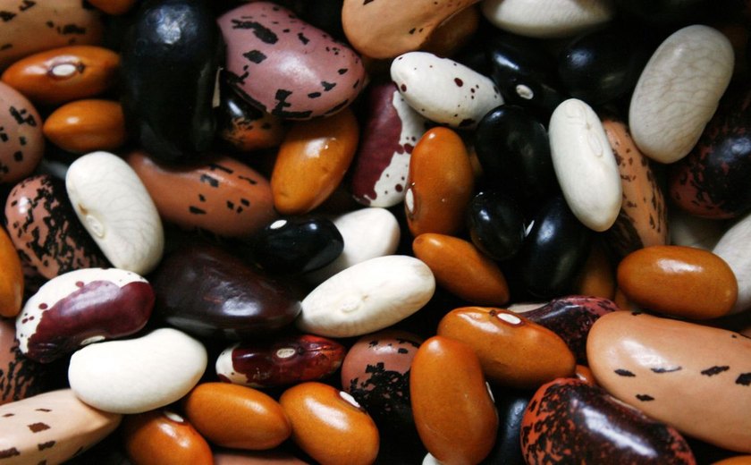 Governo manda recolher lotes de feijão impróprios para consumo