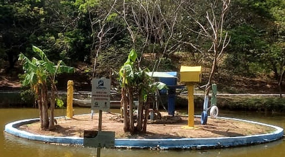 FotoGrid_20240312_171419280 / Foto: Foto: Adema