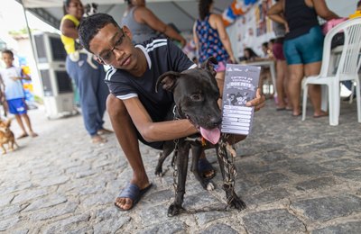 Atendimentos veterinários são destaque nas edições do Brota na Grota