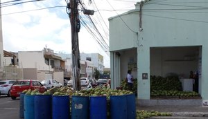 FISCALIZAÇÃO ÁGUA DE COCO VIGILÂNCIA SANITÁRIA