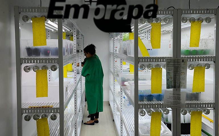 CRA faz audiência pública sobre 50 anos da Embrapa