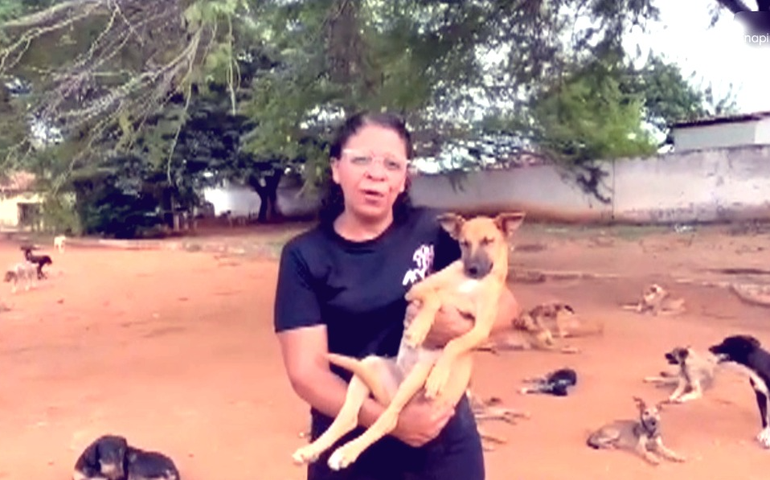 ONG SOS Melhor Amigo faz apelo desesperado para não devolver 130 animais às ruas em Palmeira dos Índios