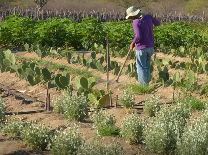 Dia de Luta pela Reforma Agrária: MIDR reforça compromisso com a dignidade no campo por meio do acesso à água