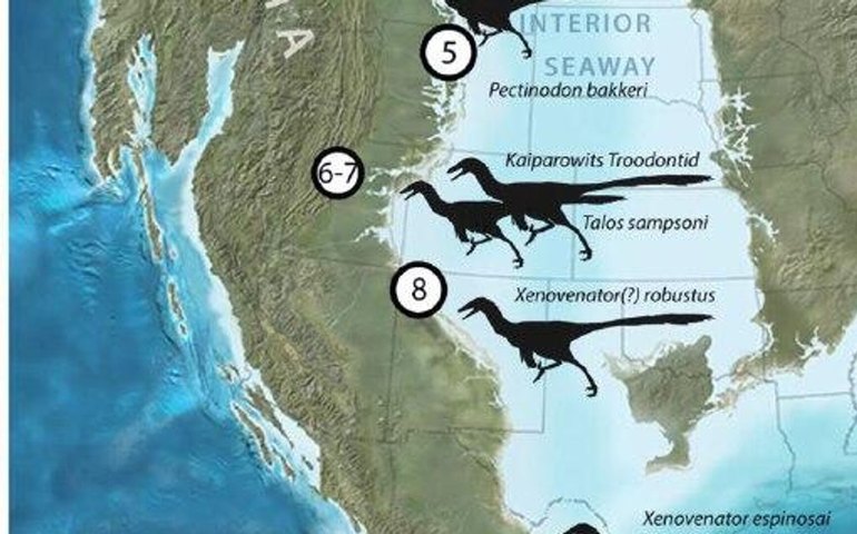 Nova espécie de dinossauro emplumado com crânio espesso é descoberta no México