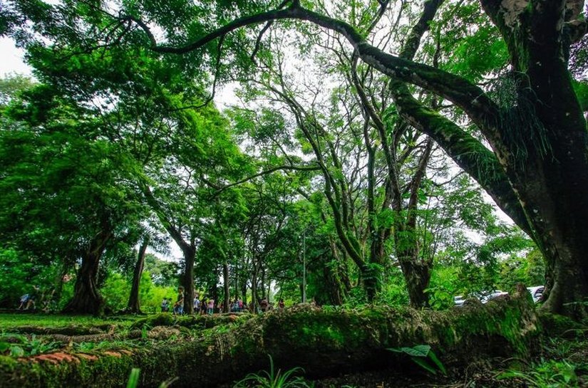“Domingo com a Guarda” tem início neste fim de semana no Parque do Horto