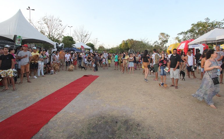 Ações do #VemProBosque reúnem centenas de pessoas para mais um dia de lazer e conscientização