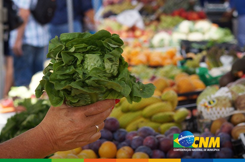Garantia-Safra: agricultores familiares receberão o recurso do garantia-safra em julho