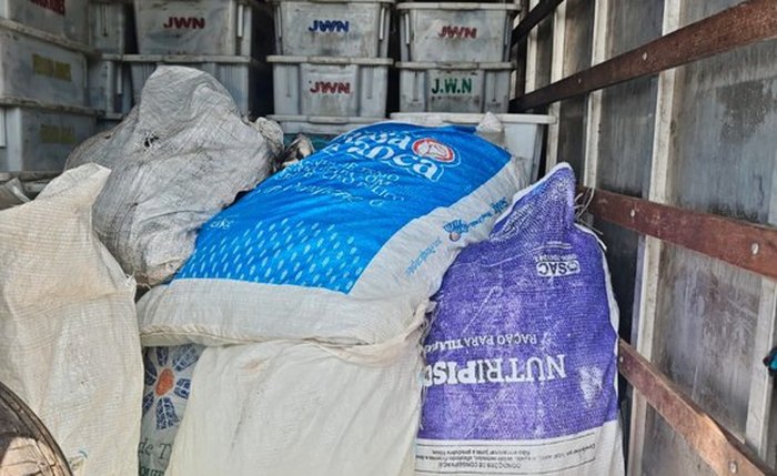 PRF retira de circulação 900kg de pescado transportado sem refrigeração e em contato com óleo diesel