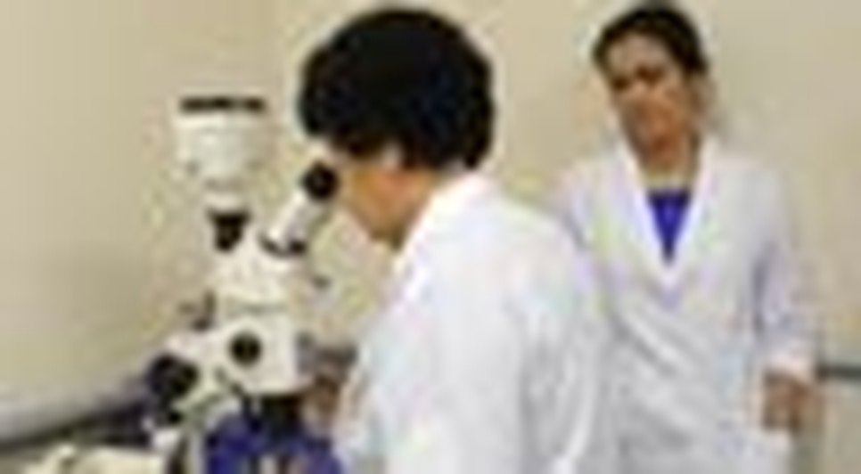 laboratóriio