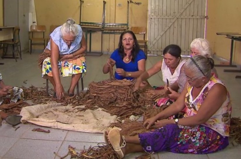 “Blues” de Alagoas: o canto das destaladeiras de fumo de Arapiraca