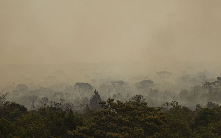 Parque de Brasília: fogo vira subterrâneo e pode voltar à superfície