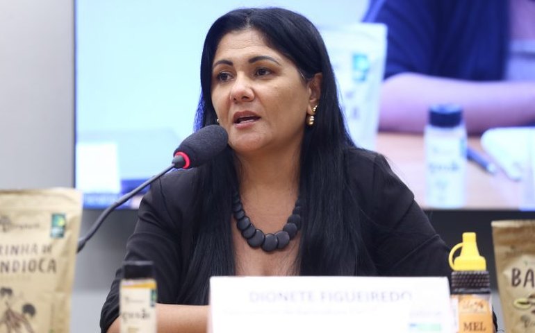 Comissão colhe sugestões para a criação da Política Nacional de Bioeconomia