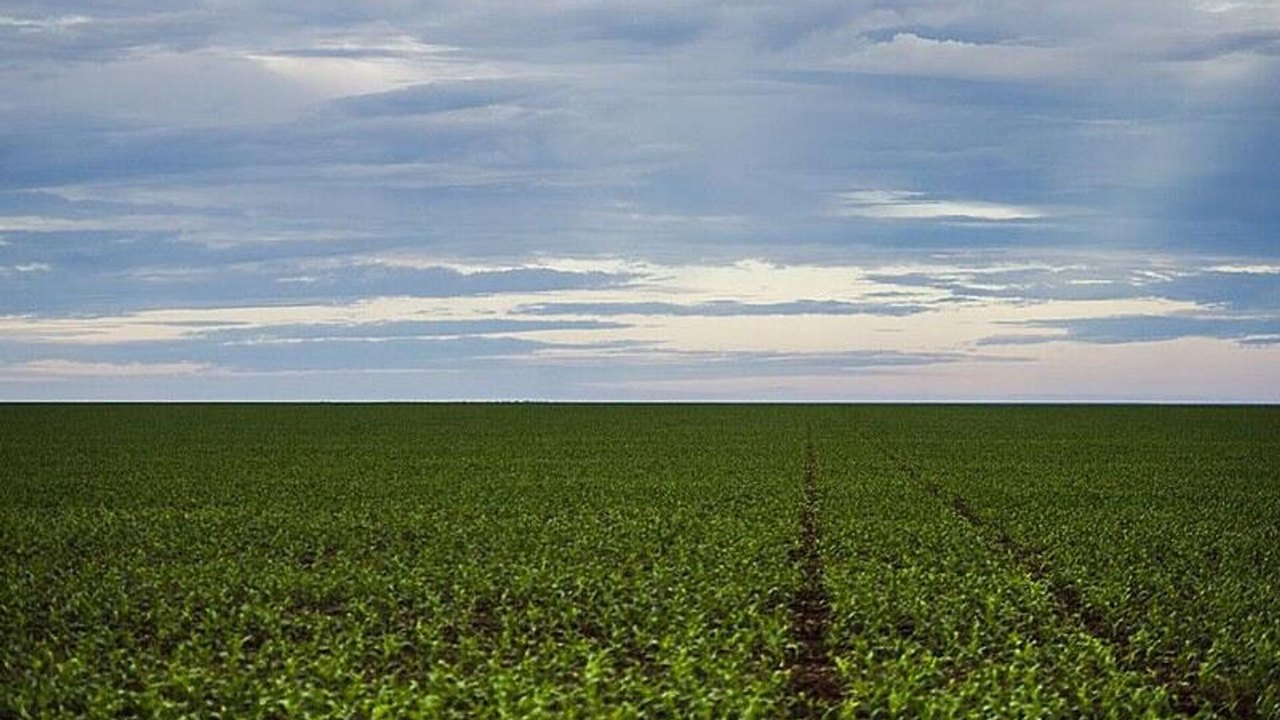 Agro brasileiro bate recorde histórico e movimenta US$ 52,7 bilhões nos 4 primeiros meses de 2025