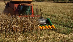 Senar promove capacitação gratuita para produtores de milho em Carira; veja como participar / Foto: Foto: CNA/Divulgação