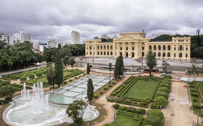 Funcionário de museu descarta obra de arte achando que era lixo