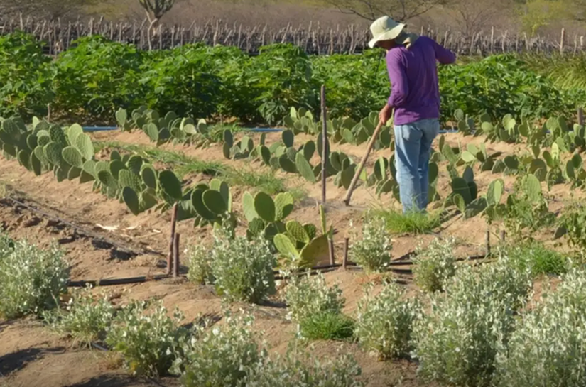 Dia de Luta pela Reforma Agrária: MIDR reforça compromisso com a dignidade no campo por meio do acesso à água
