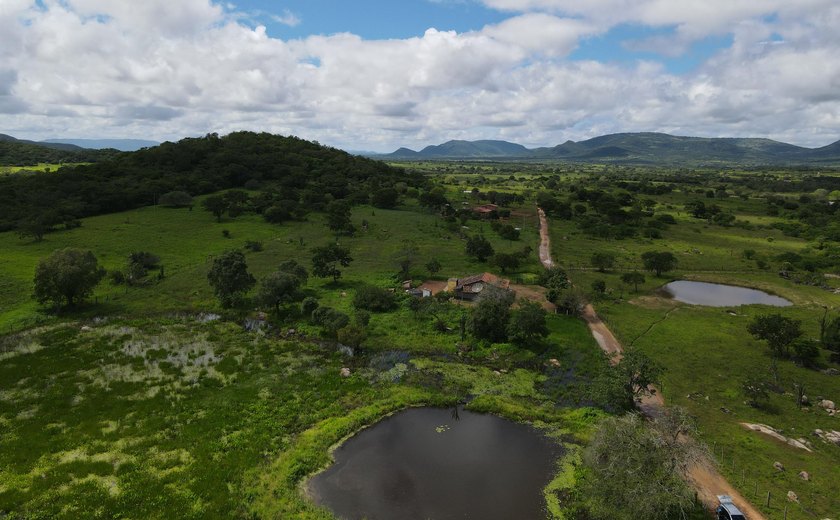 Dia Nacional da Caatinga é celebrado com ações no Sertão de Alagoas