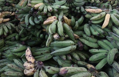 Educação explica processo da merenda escolar com mais de 55 mil alunos beneficiados