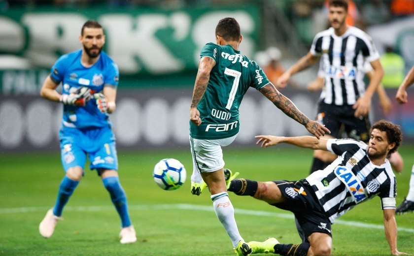 Palmeiras e Santos vão decidir em casa as semifinais da Copa Libertadores