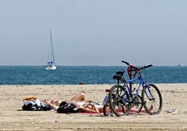 News title