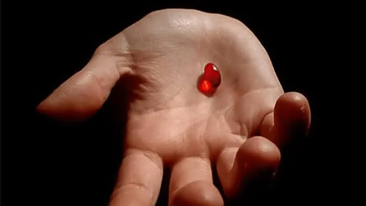 Como identificar discurso 'redpill', que está na mira da polícia do Rio após estudo do ISP identificar uso nas redes sociais