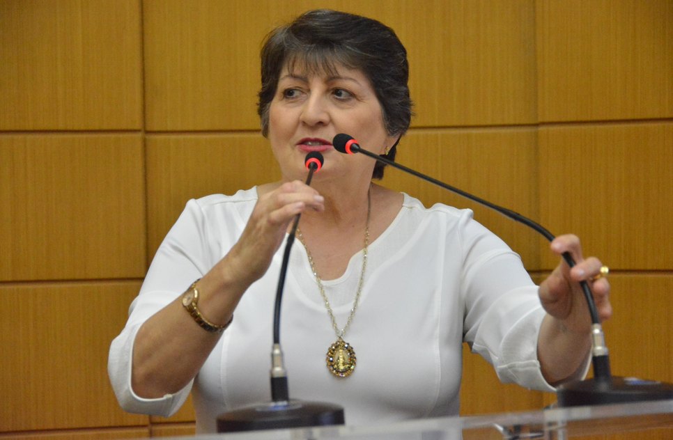 MARIA MENDONÇA / Foto: Jadilson Simões