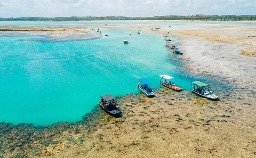 Alagoas recebe certificação turística bandeira azul; selo desembarca na praia do Patacho na sexta (10)