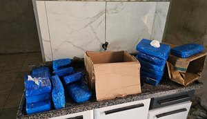 Polícia apreende 24 kg de cocaína avaliados em cerca de R$ 500 mil em Propriá / Foto: Foto: SSP/ Divulgação