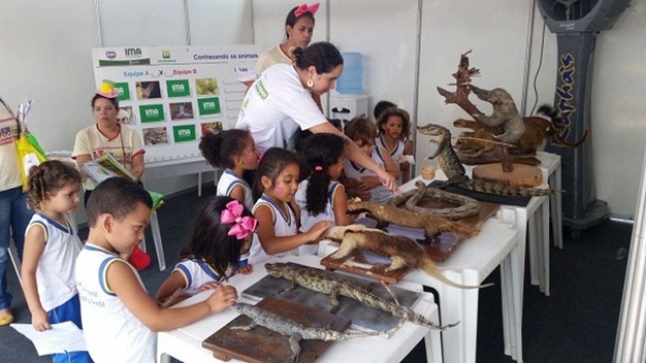 IMA leva exposição, realiza plantio de árvores e entrega licença no Governo Presente