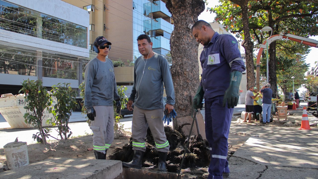Prefeitura realiza serviços de prevenção contra alagamentos na Avenida Sandoval Arroxelas