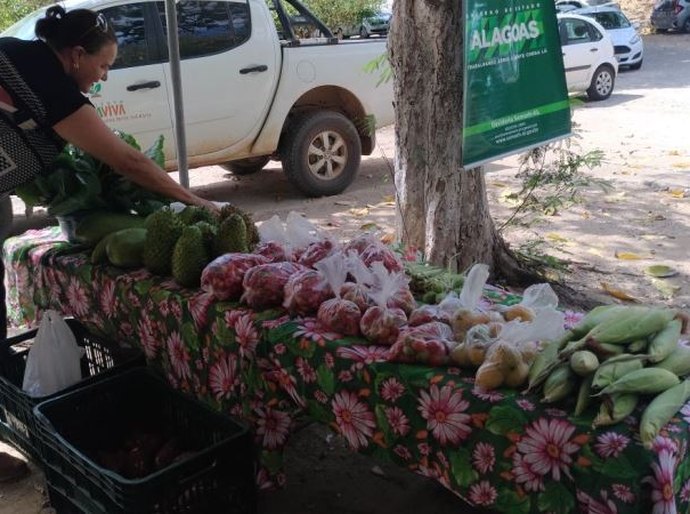 Feira Orgânica da Semarh incentiva o consumo de alimentos saudáveis