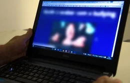 Poderes se unem para barrar notícias falsas