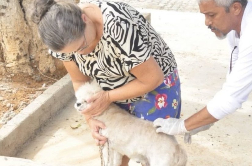 Campanha de vacinação antirrábica começa dia 27 de setembro em Palmeira