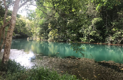 Após atuação do Ministério Público, Alagoas ganha nova Reserva Particular do Patrimônio Natural