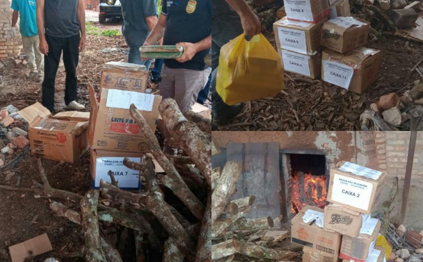 Polícia incinera mais de 150kg de droga apreendida em Arapiraca