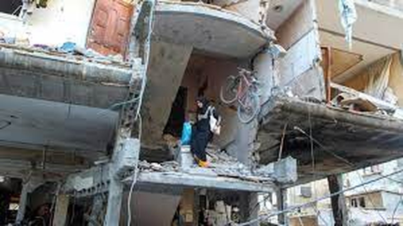 Fome em Gaza: organizações pedem reconhecimento oficial