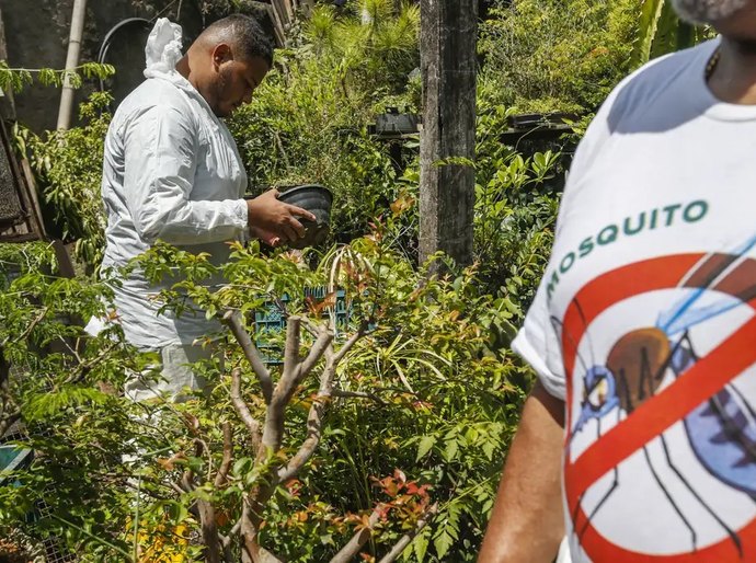 Dengue: SP, MG e PR concentram 73% dos casos e 86% dos óbitos