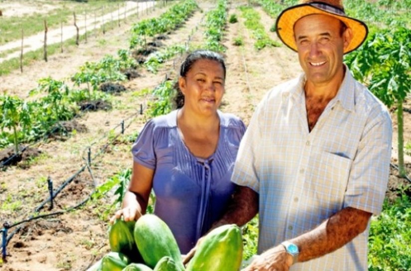 Programa de Aquisição de Alimentos é lançado em municípios de AL