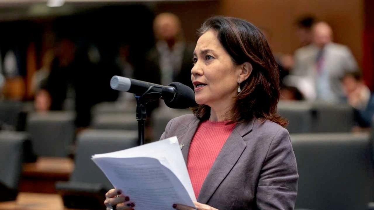 O Brasil corre o risco de viver um regime de dinastia, diz deputada Elika Takimoto à Sputnik