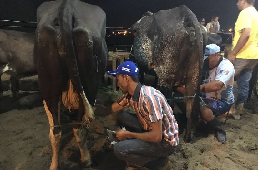 Torneio leiteiro reúne produtores em Mar Vermelho até este sábado, 23