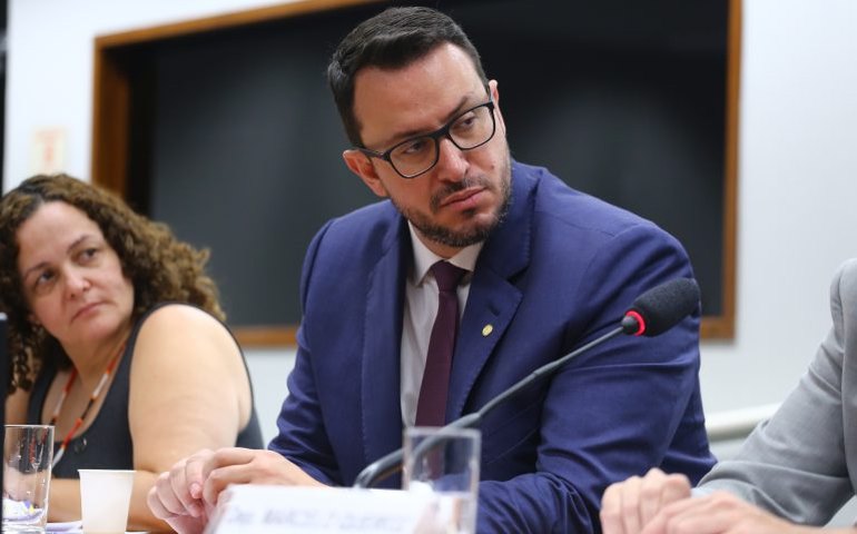 Especialistas cobram recursos e política pública para controle populacional de cães e gatos