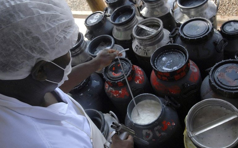 CMN libera linha de capital de giro a cooperativas de leite no Pronaf