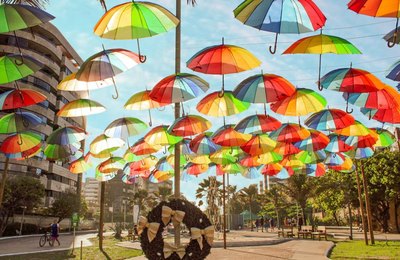 Maceió é classificada como cidade-polo da ONU-habitat por implementar gestão eficiente e inovadora