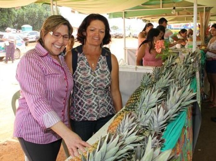 Prefeitura de Arapiraca apoia exposição e Festival do Abacaxi